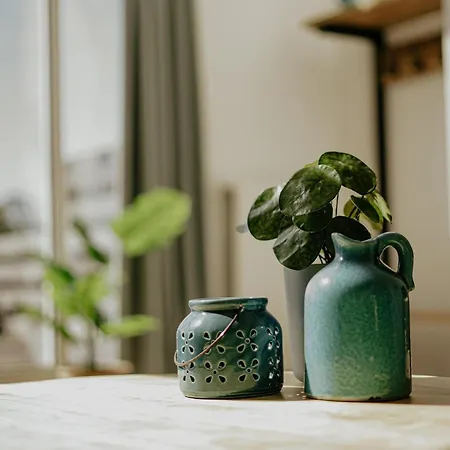 In Waterpark In Uitgeest